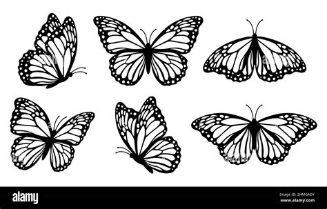 Monarch Butterfly Silhouettes Collection Vector Illustration Isolated