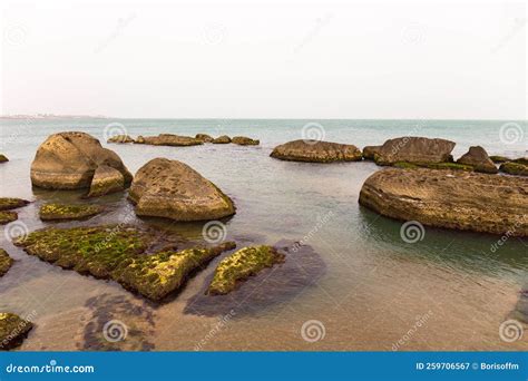 Beautiful Rocky Seashore Stock Image Image Of Scenic 259706567