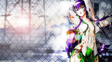 Hd Wallpaper Highschool Of The Dead 800x1560 Anime Hot Anime Hd Art Wallpaper Flare