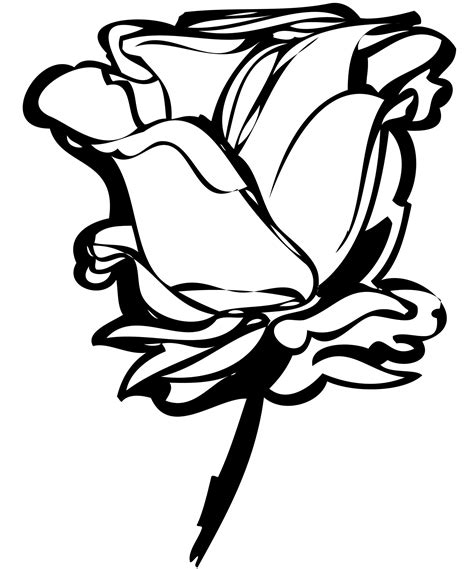 Line Drawings Roses Clipart Best