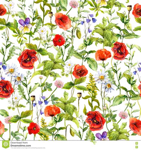 Summer Flowers Poppies Chamomile Meadow Grass Seamless Pattern