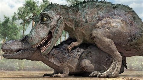 Dinozorlarda Üreme Dinozorlar Nasıl Seks Yapıyordu Evrim Ağacı