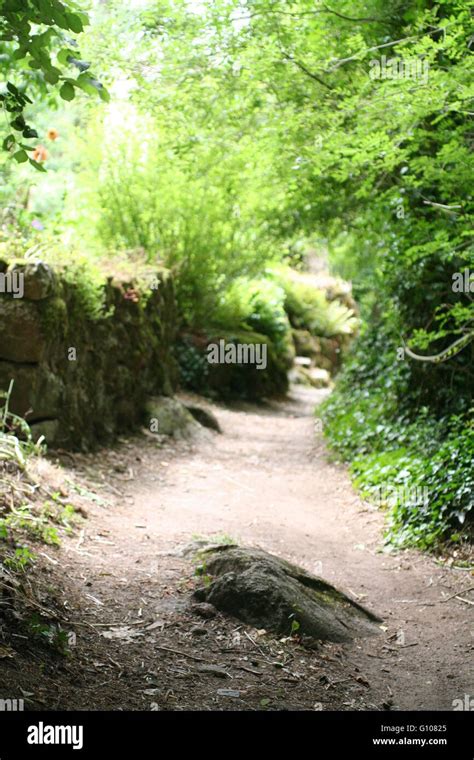 Walkway Green Path In Countryside Stock Photo Alamy