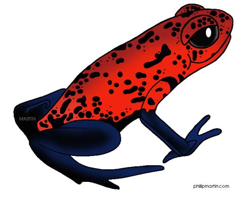 Poison Dart Frog Clipart 3 Clipart Panda Free Clipart Images