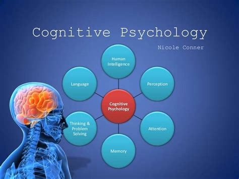 How Can Teachers Apply Cognitive Psychology In Classroom