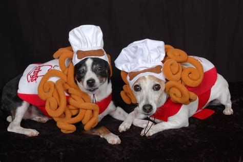 Clever Ideas For Dog Halloween Costumes Fidose Of Reality