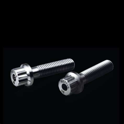 12 Point Flange Screws Manufactured By Hasm North America