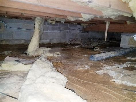 Crawl Space Encapsulation Termite Problem In Manchester Township