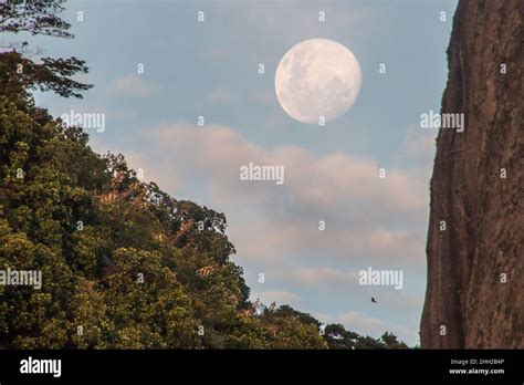 Que Luna Es Hoy En Brasil