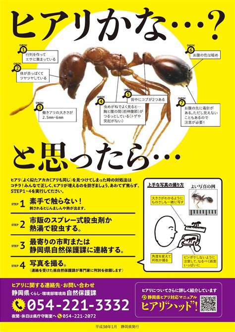 コンテナへのヒアリ侵入防止等に係る対応（協力依頼）について｜一般社団法人静岡県トラック協会