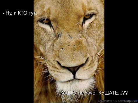 Кто похудел не кушать после 17