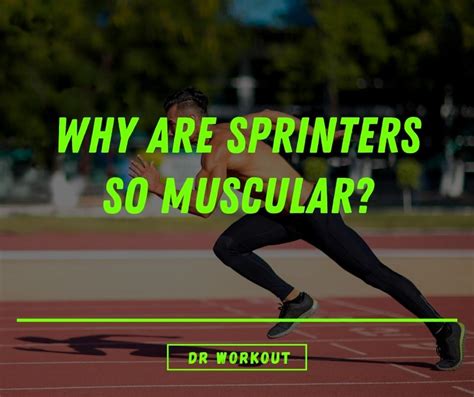 Why Are Sprinters So Muscular What Science Says Dr Workout