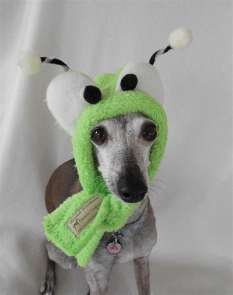 Cute Alien Or Bug Glowing Hat For Pets Small Custom Made 2500 Via
