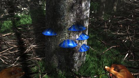 Blue Scaly Tree Fungus Miasmata Wiki Fandom Powered By Wikia