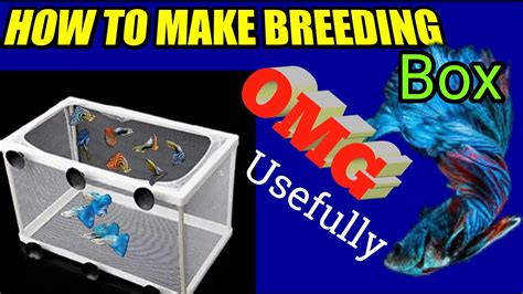 How To Make Breeding Box For Fish Diy Aquarium Breeder Box Guppy Fish