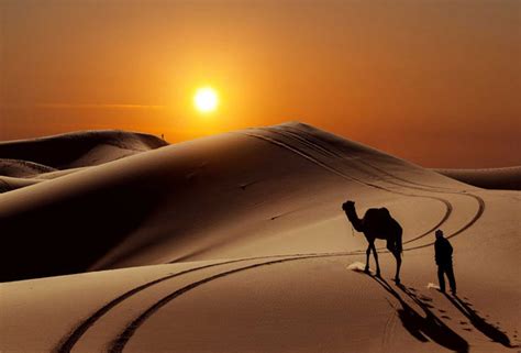 أجمل صور الصحراء مع غروب الشمس والجمل Desert With Sunset And Camel