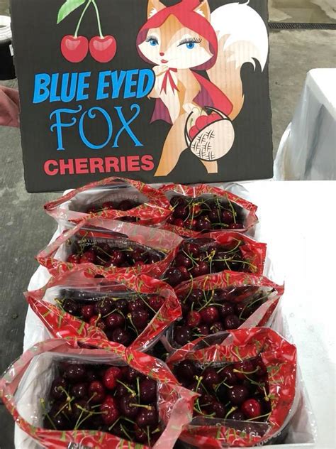Packing Our New “blue Eyed Fox” River Valley Fruit Llc