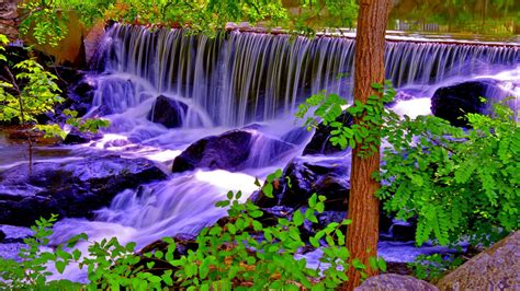 Forest River Falls Natural Wood Stone 168649 2560x1600