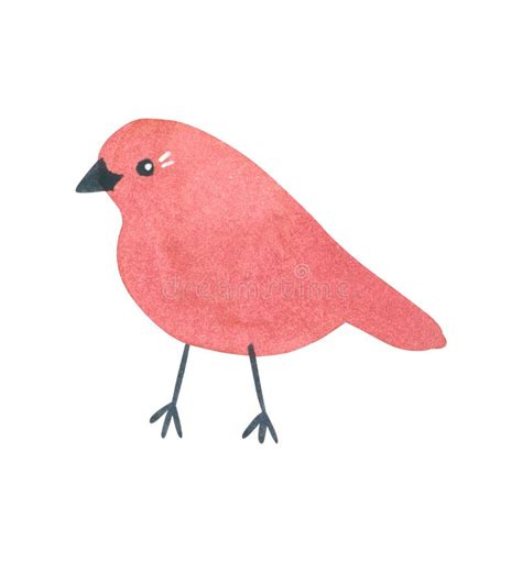 Hand Drawn Watercolor In Simple Style Funny Pink Bird Stock