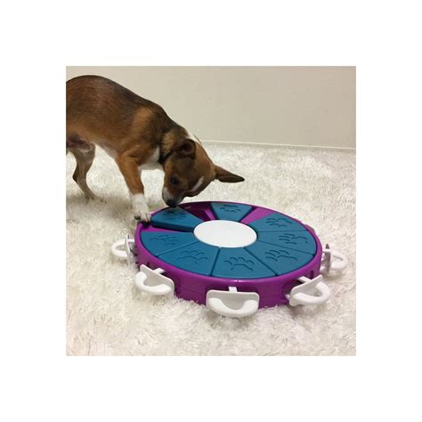 Nina ottosson puzzles can help build your relationship with a newly adopted dog and help shy dogs come out of their shell. Nina Ottosson Dog Twister - Puzzle Game For Dogs
