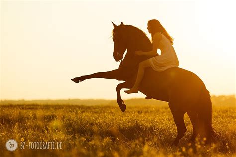 Hintergrund Sonnenuntergang Pferde