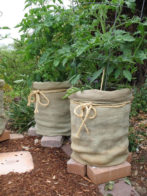 Burlap Bags Tomato Planters Gardening Tips Pinterest