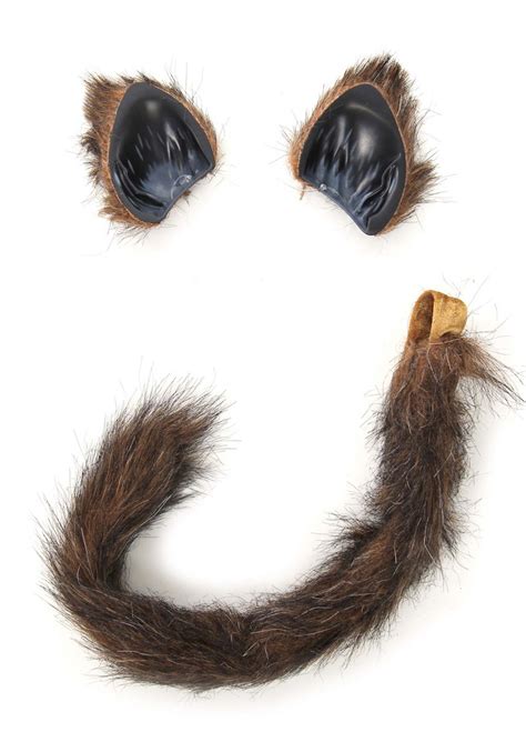 Furry Brown Cat Tail And Ears