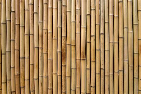 Textura De Bambú Foto Gratis