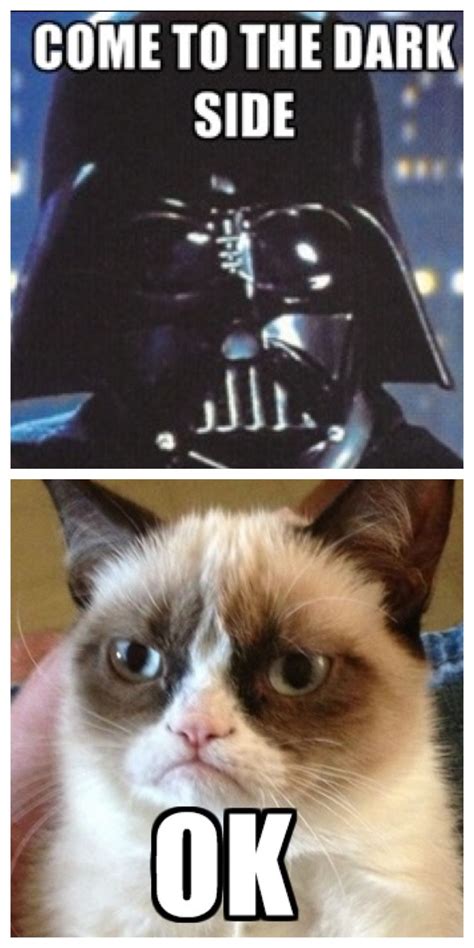 Grumpy Cat Accepts The Dark Side Funny Grumpy Cat Memes Funny
