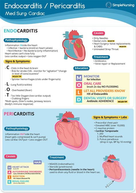 Endocarditis Vs Pericarditis V2 Cardio Med Surg 1 Nclex Study