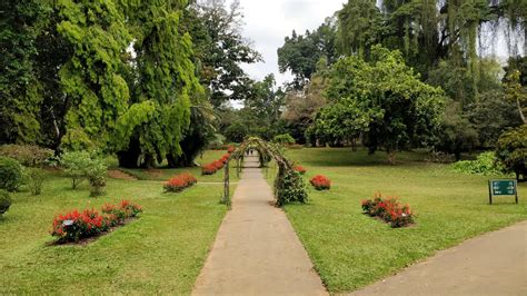 Kandy Royal Botanic Gardens Sri Lanka Visions Of Travel