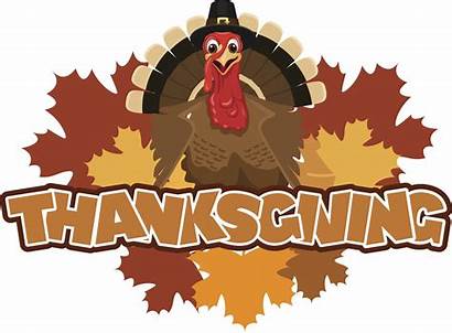 Thanksgiving Turkey Cartoon Feathers Vector Clip Break