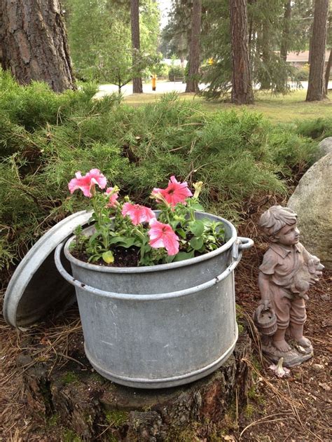 Galvanized Bucket Planter My Garden Pinterest