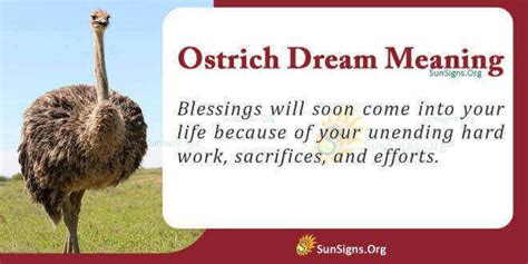 Ostrich In Your Dream Meaning Interpretation And Symbolism