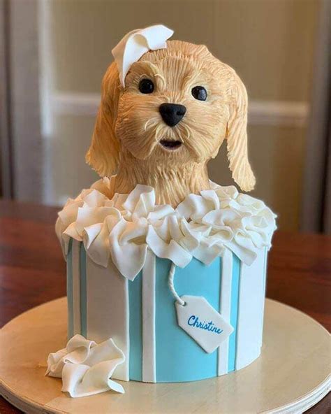 50 Dog Cake Design Cake Idea March 2020 Dog Birthday Cake Dog