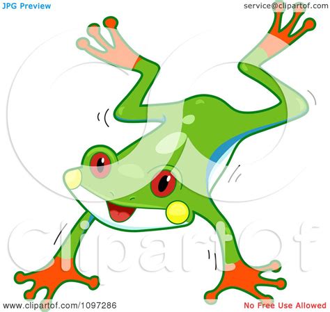 Clipart Cute Red Eyed Tree Frog Jumping Royalty Free Vector