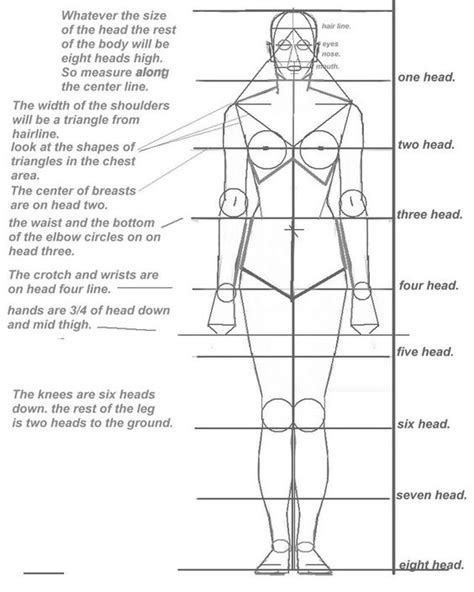 Basic Human Proportion Sheet Classroom Ideas Pinterest Body
