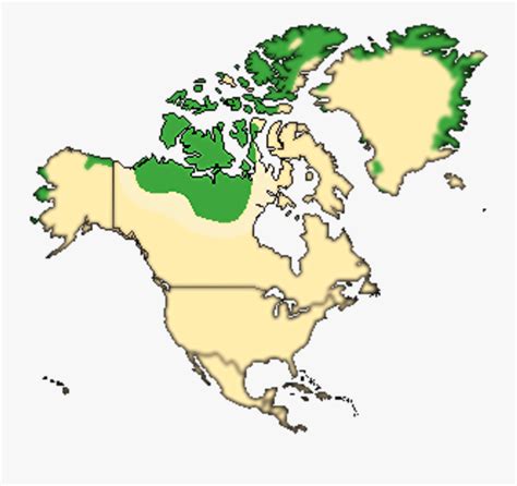 Arctic Tundra Map Location Free Transparent Clipart Clipartkey