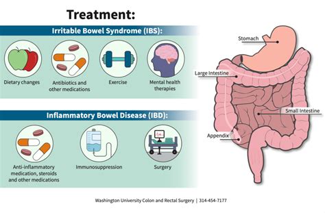 Inflammatory Bowel Disease Or Irritable Bowel Syndrome Department Of Surgery Washington