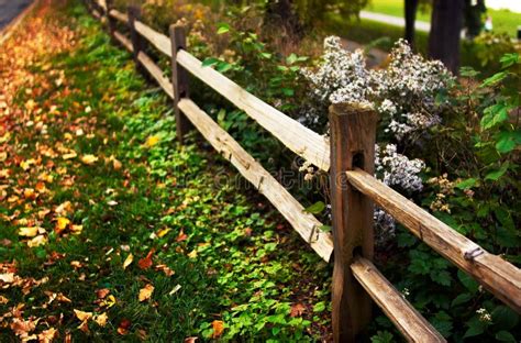 Fence Along The Road Stock Photo Image Of Tree Peaceful 1475764