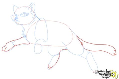 How To Draw Bluestar From Warrior Cats Drawingnow