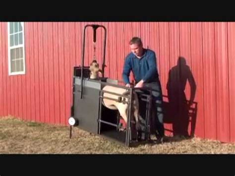 Depending on your treadmill, there are different options for moving it. SharpChuter Lamb and Goat Training Chute - YouTube