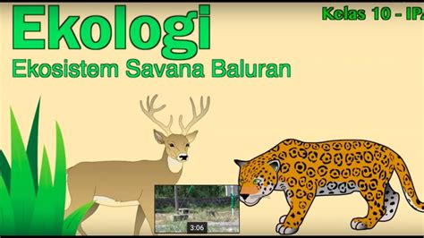Kelas Biologi Ekologi Ekosistem Savana Baluran Video