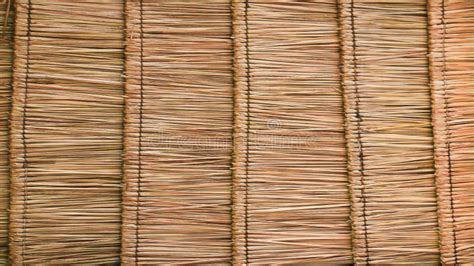 Thatch Roof Texture Stock Photo Image Of Native Background 63256522