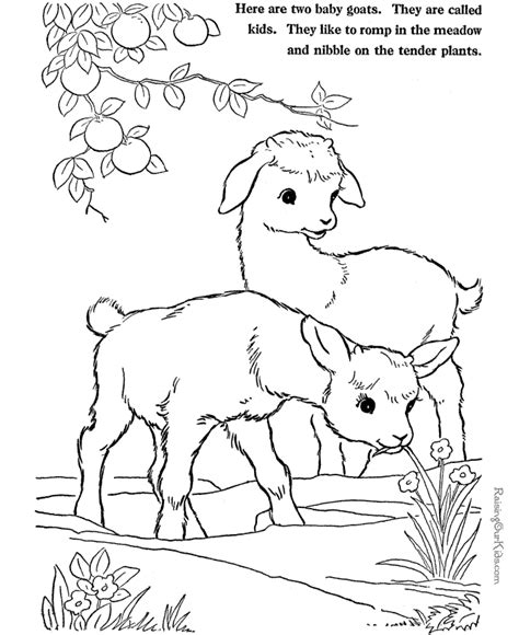 Baby Goats Farm Animal Coloring Page