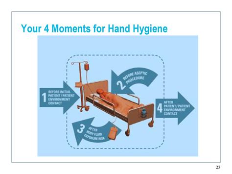 Your 4 Moments For Hand Hygiene Ppt Download