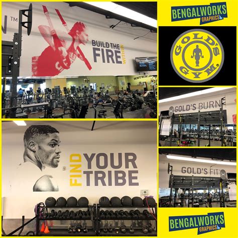 Golds Gym Wall Mural Wall Graphics Wall Murals Golds Gym