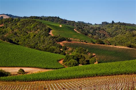 5 Incredible Things To Do In Sonoma Valley Ca