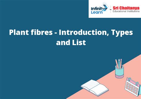 Plant Fibres Introduction Types And List