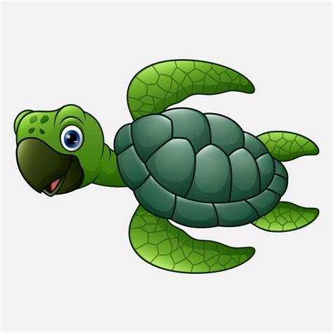 Cute Turtle Cartoon 12407059 Vector Art At Vecteezy